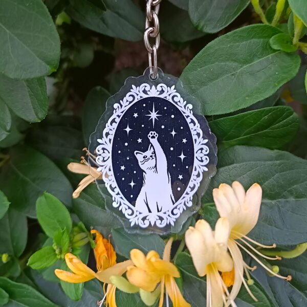 IMG_20241110_190343_205