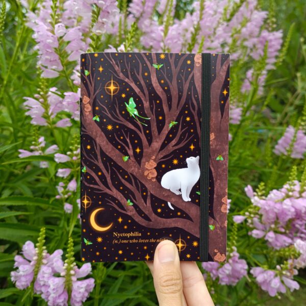 IMG_20250118_113509_994